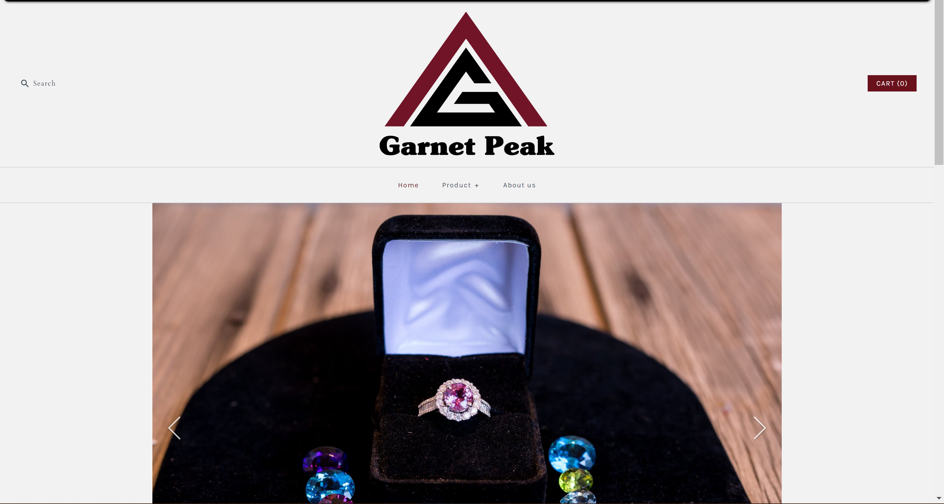 A Screenshot of Garnet Peak's website